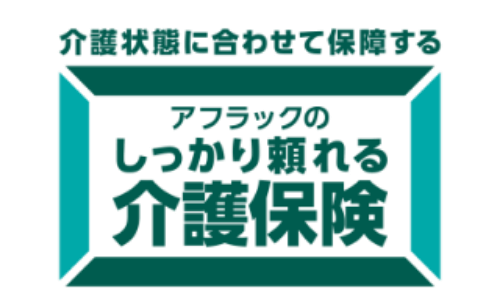 しっかり頼れる介護保険